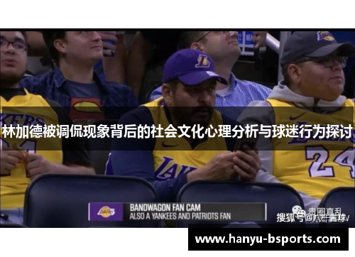林加德被调侃现象背后的社会文化心理分析与球迷行为探讨