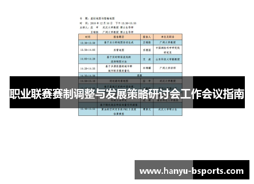 职业联赛赛制调整与发展策略研讨会工作会议指南